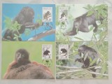 Belize 1997 - urlatorul negru, serie CarteMaxima