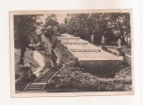 FA140 -Carte Postala- RUSIA - Leningrad. Peterhof Chess Mountain Fountain , circulata 1957