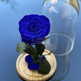 Cumpara ieftin Trandafir Criogenat albastru_1 &Oslash;9,5cm in cupola 12x25cm