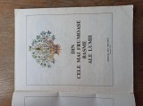 DIN CELE MAI FRUMOASE BASME ALE LUMII, VOL 1 * 1988 * ILUSTRATII VAL MUNTEANU