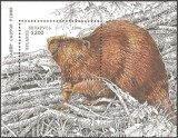 BELARUS 1996 FAUNA CASTORI, Nestampilat