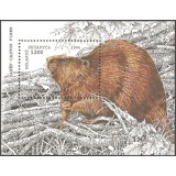 BELARUS 1996 FAUNA CASTORI
