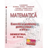 Matematica. Exercitii si probleme clasa a 7-a Semestrul al 2-lea - Delia Schneider