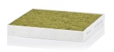 MANN-FILTER FP 23 024 FreciousPlus Filtru, aer habitaclu