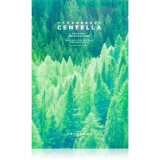SKIN1004 Madagascar Centella Tea-Trica Relaxing Mask masca pentru celule pentru netezirea pielii 23 ml