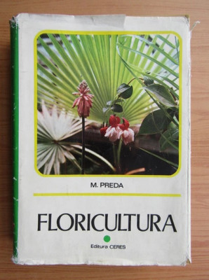 M. Preda - Floricultura foto