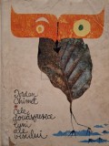 Iordan Chimet - Cele douasprezece luni ale visului (reconditionata) (Editia: 1972)