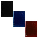 Agenda organizer B5, 100 file detasabile, inele metalice, hartie 80g /mp, coperta piele eco, 20.8x2.5x27 cm