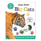 First Facts Big Cats