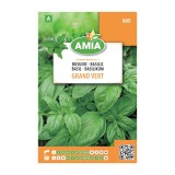 Seminte legume Amia A, busuioc Grand Vert