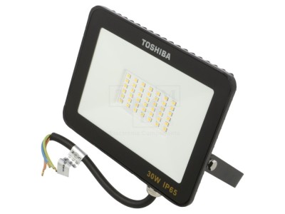 Proiector LED 30W alb rece 6500K foto