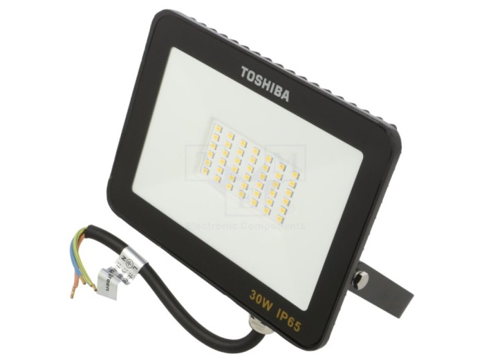 Proiector LED 30W alb rece 6500K