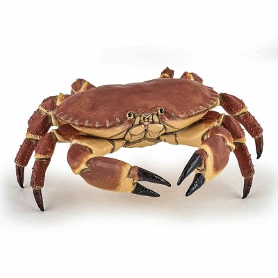 PAPO FIGURINA CRAB foto