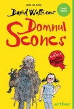 Cumpara ieftin Domnul Sconcs | paperback - David Walliams