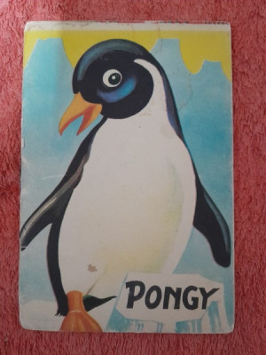 Pongy, pinguinul cel mic - F. Sahling, ilustratii de G. Mauser Lichtl foto