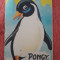 Pongy, pinguinul cel mic - F. Sahling, ilustratii de G. Mauser Lichtl