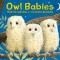 Owl Babies Lap-Size Board Book
