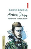 Cumpara ieftin Anton Pann. Pana cand nu te iubeam - Cosmin Ciotlos