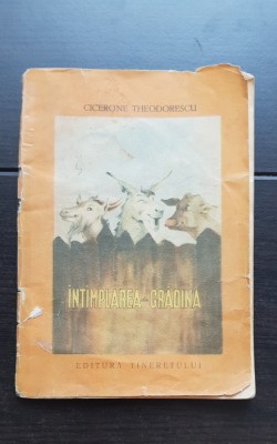 &amp;Icirc;nt&amp;acirc;mplarea din grădină - Cicerone Theodorescu foto