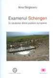 Examenul Schengen. In cautarea sferei publice europene | Alina Bargaoanu