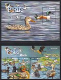 Maldive 2015 - Păsări din Maldive - Rațe, Bloc + Colita, MNH (vezi descrierea), Nestampilat