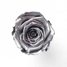 Trandafir Argintiu Criogenat XXL 9 cm foto