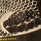 CIUDATA POVESTE A CUANTEI - BANESH HOFFMAN, ED STIINTIFICA 1970,251 PAG