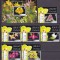 Jersey 2008 flori orhidee MI 1350-1355 + bl. 68 MNH