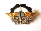 Raritate! Insigna pilot militar Macedonia,republica are doar 10 piloti militari
