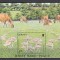 Jersey - CIUPERCI - MNH