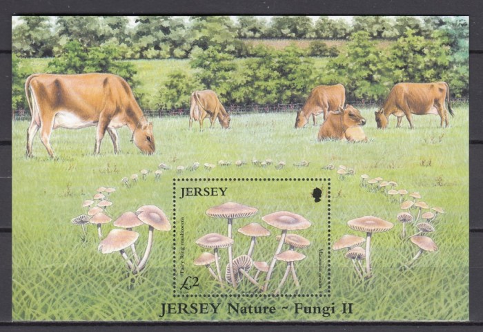Jersey - CIUPERCI - MNH
