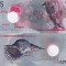INSULELE MALDIVE 5 rufiyaa 2017 polymer UNC!!!