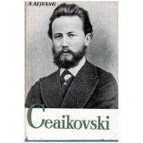 A. Alsvang - Ceaikovski - 102472, Clasica