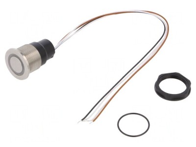 Comutator Capacitiv SPST 0.1A IP67 foto