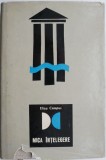 Mica intelegere &ndash; Eliza Campus