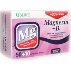 MAGNEZIU+B6 50+10CPR