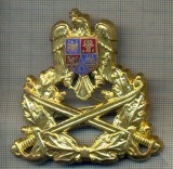 Y 1600 INSIGNA-MILITARA-EMBLEMA COIFURA- TRUPELE DE USCAT -PENTRU COLECTIONARI