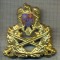 Y 1600 INSIGNA-MILITARA-EMBLEMA COIFURA- TRUPELE DE USCAT -PENTRU COLECTIONARI
