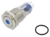 Comutator Anti-vandalism DPDT 3A 250VAC IP67 ON-(ON) 12VDC