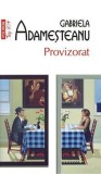 Provizorat - Gabriela Adamesteanu - Polirom