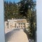 Calendar 1979 cabana Timiș jud.Brașov