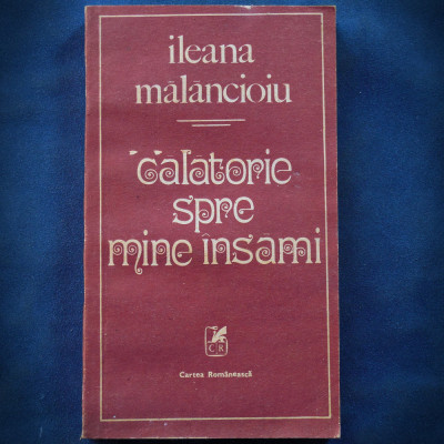 CALATORIE SPRE MINE INSAMI - ILEANA MALANCIOIU foto