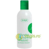 Balsam pentru Par Gras cu Urzica si Menta 200ml