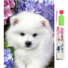 Set de broderie cu diamante 5D, model Spice, 30x40 cm, accesorii incluse, multicolor