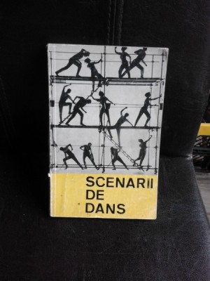 Scenarii de dans foto