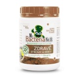 Activator Mr. Bacteria No.18 pentru pomi si arbusti sanatosi, 500 g