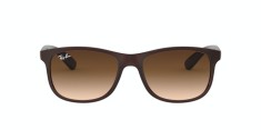Ray-Ban Andy RB 4202 6073/13 foto