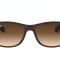 Ray-Ban Andy RB 4202 6073/13