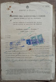 Certificat sanitar si de origine a marfii, destinatia Bucuresti, Italia 1942