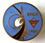 INSIGNA DRDP IASI DIRECTIA ROMANA DE DRUMURI PODURI